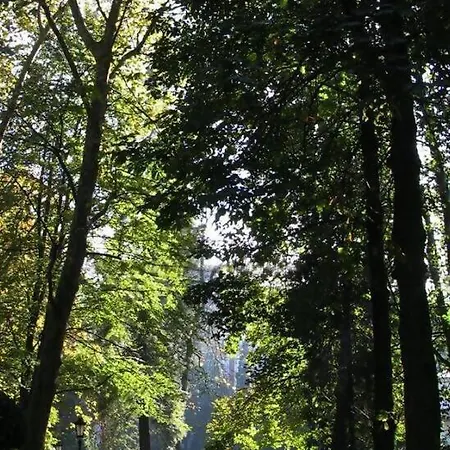 Marques De Teverga , Centro アパート *